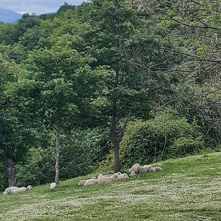 Paradiso Incontaminato